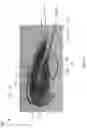 Fig. 06 - Hybrid ring-radiator headphone driver