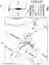 Fig. 06 - Vehicle occupant position determination