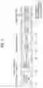Fig. 02 - Uplink signal transmission method of terminal in wireless communication system and device for supporting same