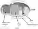 Fig. 07 - Shape memory metal artificial bait