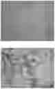 Fig. 01 - MICELLAR DELIVERY METHOD