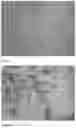 Fig. 02 - MICELLAR DELIVERY METHOD
