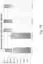 Fig. 79 - Stable silk fibroin based pharmaceutical formulations