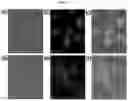 Fig. 04 - MULTI-DOMAIN VESICLE COMPRISING IMMUNOACTIVE MATERIAL, PRODUCTION METHOD THEREFOR AND IMMUNOMODULATORY COMPOSITION COMPRISING SAME