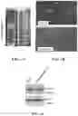 Fig. 02 - Exosomal compositions and methods for the treatment of disease