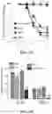 Fig. 07 - Exosomal compositions and methods for the treatment of disease
