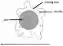 Fig. 02 - Process for producing coated particles