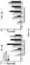 Fig. 05 - COMPOSITIONS AND METHODS FOR TREATING MUSCULAR DYSTROPHY AND OTHER DISORDERS