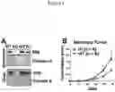 Fig. 02 - Methods of treating and preventing breast cancer with S-equol