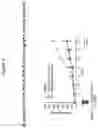 Fig. 09 - Methods of treating and preventing breast cancer with S-equol