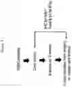 Fig. 10 - Methods of treating and preventing breast cancer with S-equol