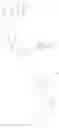 Fig. 489 - MLKL inhibitors
