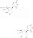 Fig. 167 - SUBSTITUTED NUCLEOSIDES, NUCLEOTIDES AND ANALOGS THEREOF