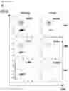 Fig. 12 - Natural killer cells