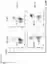 Fig. 15 - Natural killer cells