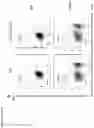 Fig. 17 - Natural killer cells