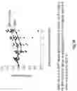 Fig. 57 - Compositions and methods for the induction of CD8+ T-cells