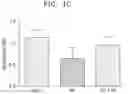 Fig. 06 - Composition comprising extract for preventing or treating ischemia-reperfusion injury and use thereof
