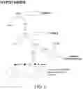 Fig. 07 - COMPOSITIONS AND METHODS FOR THE TREATMENT OF ORTHOPEDIC AILMENTS