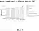 Fig. 09 - COMPOSITIONS AND METHODS FOR THE TREATMENT OF ORTHOPEDIC AILMENTS