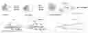 Fig. 01 - Nanocomplexes of polyanion-modified proteins
