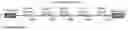 Fig. 01 - NUCLEIC ACID CONSTRUCTS COMPRISING GENE EDITING MULTI-SITES AND USES THEREOF