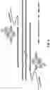 Fig. 06 - NUCLEIC ACID CONSTRUCTS COMPRISING GENE EDITING MULTI-SITES AND USES THEREOF