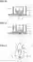 Fig. 06 - TRANSDERMAL ADMINISTRATION DEVICE