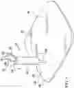 Fig. 02 - Resuscitator mouth shield assembly