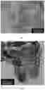 Fig. 02 - Carbon nitride membrane composite material modified by black phosphorus/ metal organic framework, and preparation method thereof and application in waste gas treatment