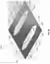 Fig. 07 - INTEGRATED MICROFLUIDIC ORGANIC ELECTROCHEMICAL TRANSISTOR BIOSENSORS FOR DRUG LEVEL DETECTION
