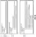 Fig. 03 - Automated exploitation of shade-giving structures