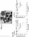 Fig. 02 - CATIONIC POLYMER COATED MESOPOROUS SILICA NANOPARTICLES AND USES THEREOF