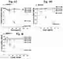 Fig. 07 - CATIONIC POLYMER COATED MESOPOROUS SILICA NANOPARTICLES AND USES THEREOF