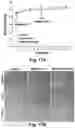 Fig. 22 - CATIONIC POLYMER COATED MESOPOROUS SILICA NANOPARTICLES AND USES THEREOF