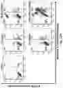 Fig. 33 - CATIONIC POLYMER COATED MESOPOROUS SILICA NANOPARTICLES AND USES THEREOF