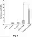 Fig. 40 - CATIONIC POLYMER COATED MESOPOROUS SILICA NANOPARTICLES AND USES THEREOF