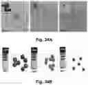 Fig. 45 - CATIONIC POLYMER COATED MESOPOROUS SILICA NANOPARTICLES AND USES THEREOF