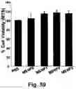 Fig. 76 - CATIONIC POLYMER COATED MESOPOROUS SILICA NANOPARTICLES AND USES THEREOF