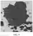 Fig. 07 - Method for producing black phosphorus