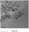 Fig. 22 - Aluminosilicate nanorods