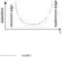 Fig. 02 - Optical fibers with multiple openings from additive manufacturing