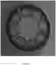 Fig. 09 - Optical fibers with multiple openings from additive manufacturing