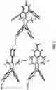 Fig. 13 - Stable poly(imidazolium) hydroxides