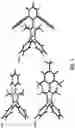 Fig. 15 - Stable poly(imidazolium) hydroxides
