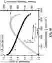 Fig. 16 - Stable poly(imidazolium) hydroxides