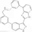 Fig. 28 - Indazole containing macrocycles and therapeutic uses thereof