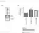 Fig. 02 - Compound, and method for producing regulatory T cells