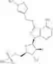 Fig. 167 - ATG7 inhibitors and the uses thereof