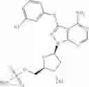 Fig. 201 - ATG7 inhibitors and the uses thereof